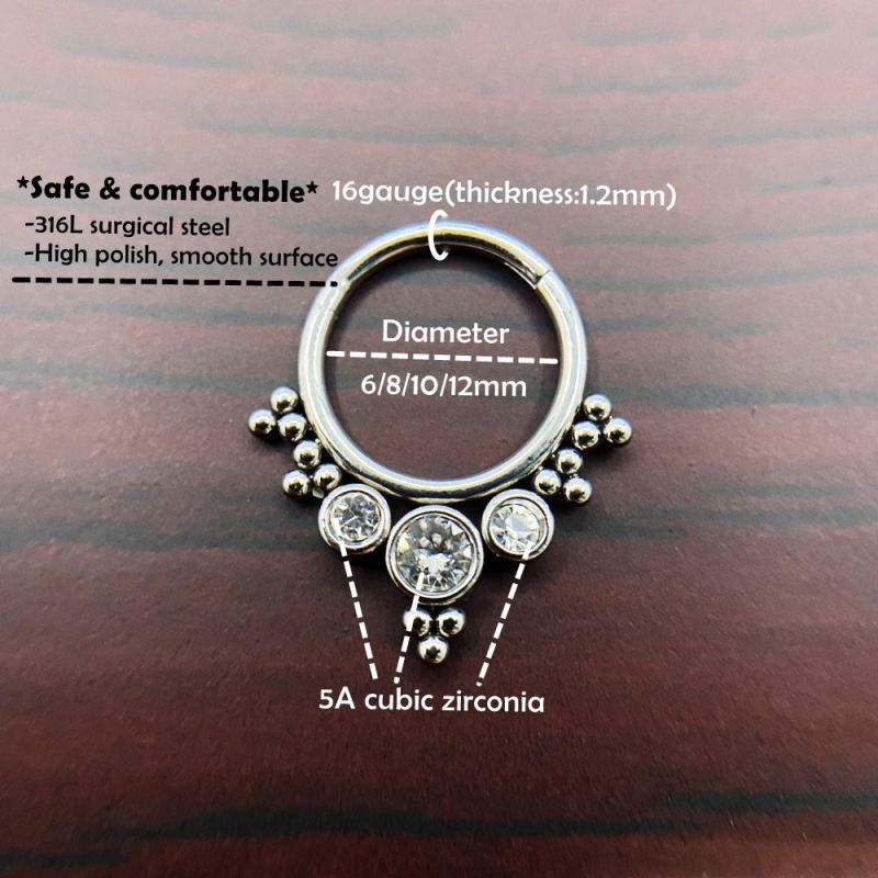 New Design 316L Stainless Steel Hinged Segment Clicker Ring Body jewelry Bezel Setting 5A Zirconia Steel Piercing