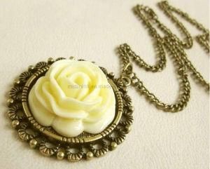 Fashion Jewelry/Jewellery - Fashionable Resin Necklaces (F3Q562)