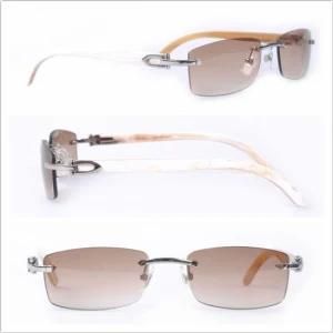 Buffalo Sunglasses/ Fashion Sunglasses /Sunglasses