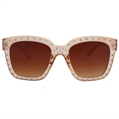 Hot Selling Transparent Orange Fashion Sunglasses with Metal Deco
