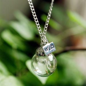 Natural Seed in Glass Long Necklace
