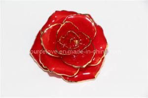 Women Jewelry- Fashion Brooches for Wedding Gifts (XZ016)