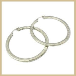 Stainless Steel Hoop Earring (TPSE191)