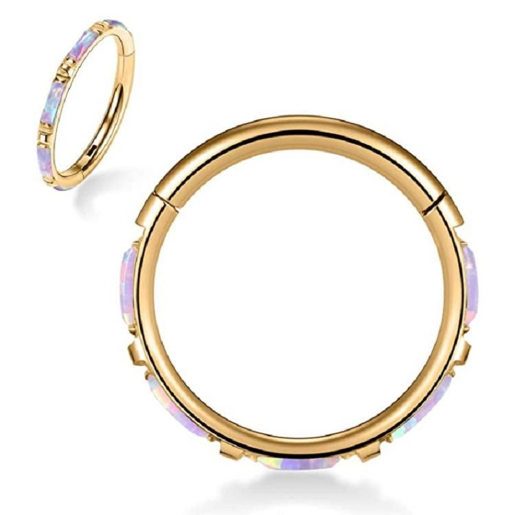 ASTM F136 Titanium Body Piercing Jewelry Setting Rectangle Opal Hinged Segment Ring
