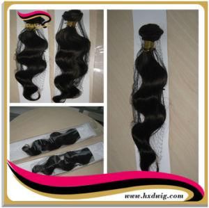 Hair Extension (HXD-026)