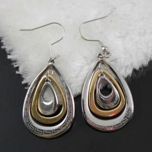 Stainless Steel Jewelry/Earring (E2345)
