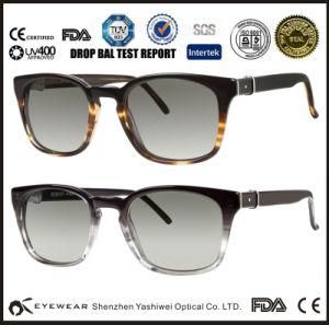 2016 Retro Designer Sunglasses