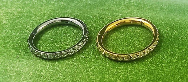 Factory Wholesale ASTM F136 Titanium Jewelry 1.0mm Hinged Segment Ring with CZ Fashion Ring Piercing Jewelry Tp2519