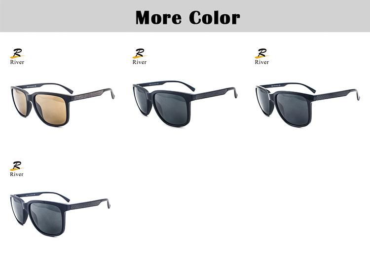P0080 New Design Tr Frame Wholesale Polarized Men Sunglasses