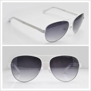 CH 4195 Original Sunglasses / Famous Brand Name Sunglases