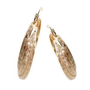 Fashion Jewelry Earring (B01164E1W)