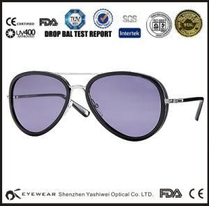 Top Fashionable Eyewear Sunglasses with Metal Logo