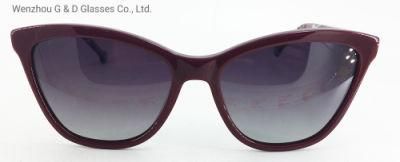 Hot Design Model China Factory Wholesale Acetate Frame Sunglasses