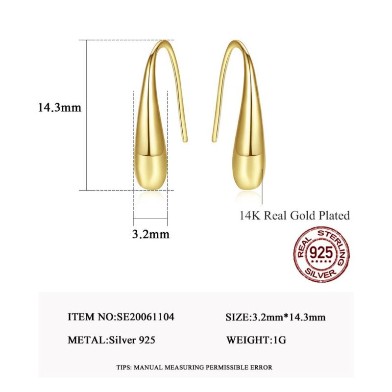 Exquisite Earrings 925 Sterling Silver Ear Stud for Women