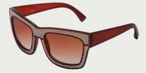 Plastic Lether Sunglasses (M6133)