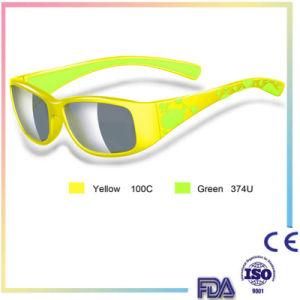 Brand New Designer Plastic Fashion Sunglasses for Women/Lady