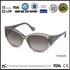 8 Bit Sunglasses, Bertha Sunglasses, Dragon Domo Sunglasses