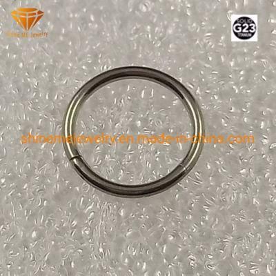 Body Piercing Titanium Piercing Inged Segment Rings Tp1969