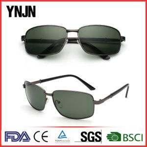 Hot Sale Custom Logo Mans UV400 Protective Sun Glasses (YJ-F8295)