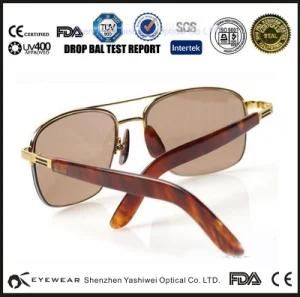 Italian Brand Name Sunglass, Wood Sunglass, 2015 Sunglass