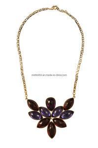 Fashionable Jewelry -Resin Necklaces (N0W199)