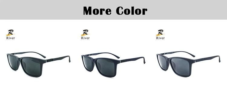 P6 Hot Sale Tr Frame Ready Polarized Men Sunglasses