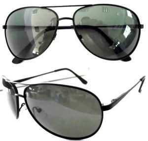 Pilot Eyewear-3713