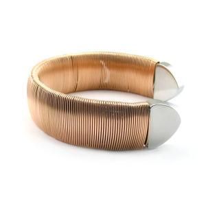 Stylish Stainless Steel Bangle (TPSBE226)