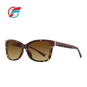 OEM/ODM Private Label Design Unisex Eyewear Frame Oversize Sun Glasses