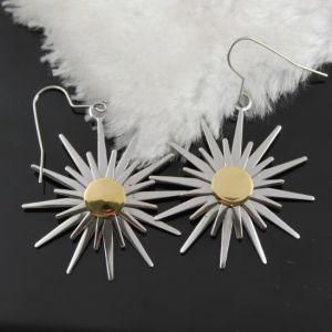 Jewelry Earrings, Fashion Jewelry, Stainless Steel Earrings (B2310)