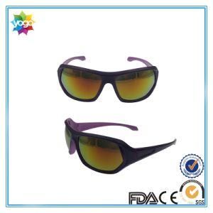 Professional Design Sport Sunglasses From Manufacturer Xiamen China