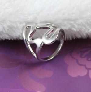 Stainless Steel Ring, Fashion Jewelry (R5677)
