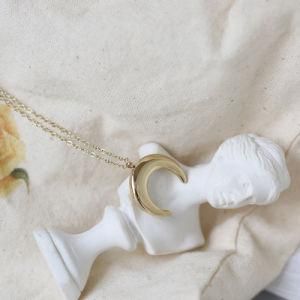 Stainless Steel Jewelry Crescent Moon Horn Pendant Necklace