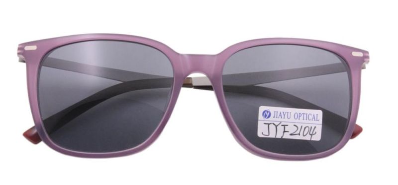 Xiamen Factory Launches New Simple Design Large Frame Womens Sunglasses