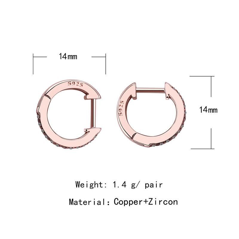 Geometry Micro Zircon Simple Brass S925 Silver Earring Jewelry