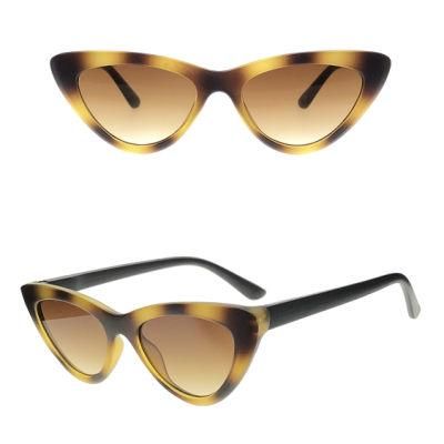 Cat Eye Modern Style New Color Fashion Sunglasses for Women
