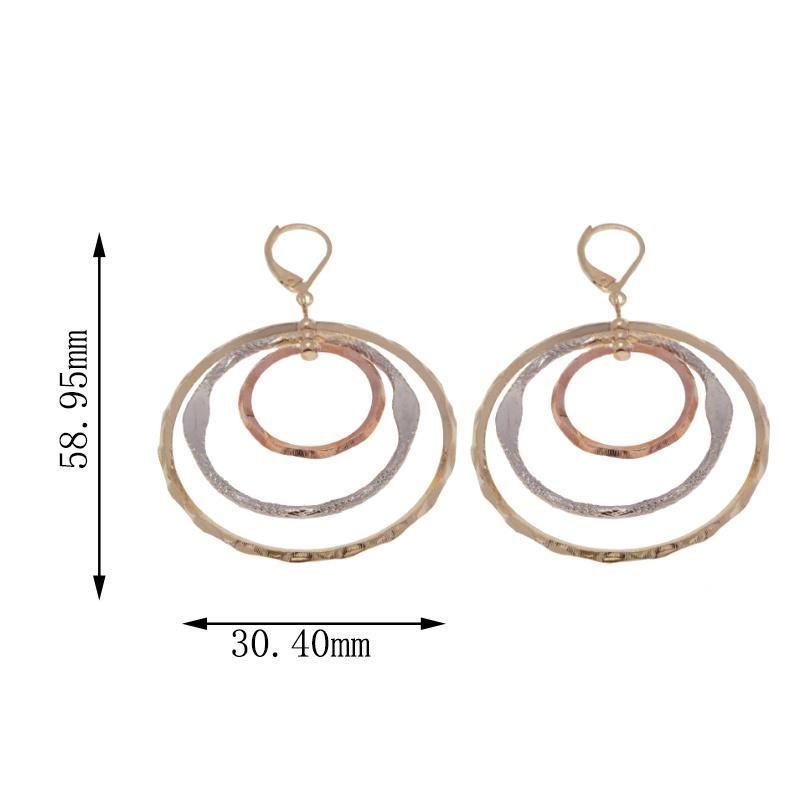 Wholesale Large Hoop Gold Plated Fashion Women′s Earrings