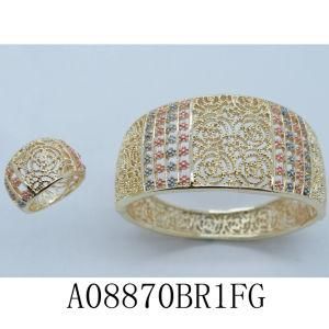 Factory Direct Hot Seeling Newest Fashion Jewelry Bangle (M1A08870B1FG)