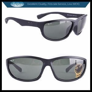 2013 Fun Sunglasses OEM