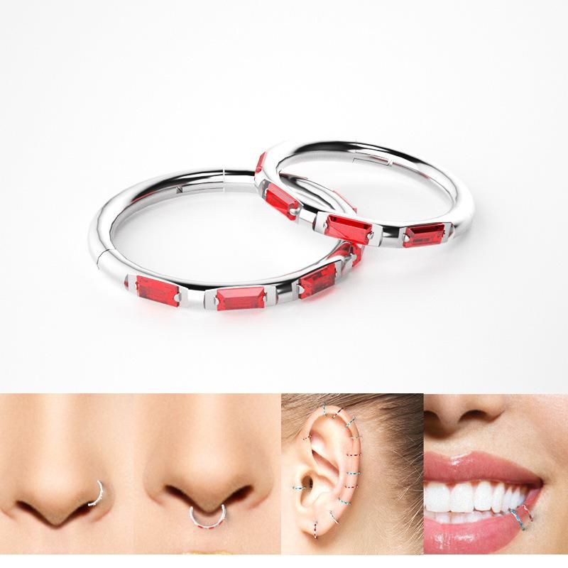 316L Surgical Stainless Steel Hinged Body Piercing Jewelry Lip Rings Septum Rings and Nose Rings Hoops for Women Men