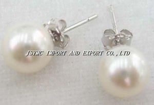 11-12mm White Freshwater Pearl Stud Earring (JSYMC-876)