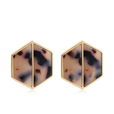 Crystal Clear Hawksbil Stainless Steel Earrings in Hexagonal Shape