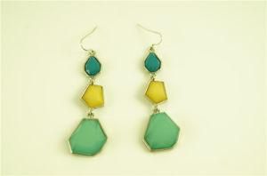 Shapped Acrylic Stone Liner Earring