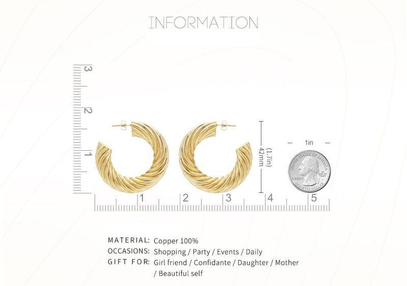 Avant-Grade Wave Shape Hoop Earrings for Party