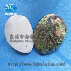 Fashion Jewelry Accessories (PJ-B001)