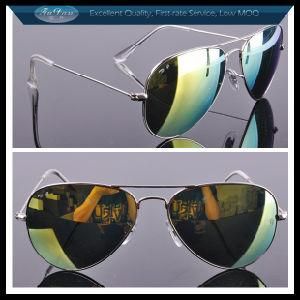 Eyewear Frame Fashion Polarized Sunglasses