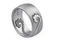 Stainless Steel Ring Jewelry (RZ3001)