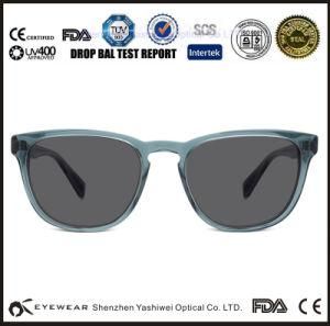 2015 Polaroid Sun Glasses, New Designer Sun Glasses