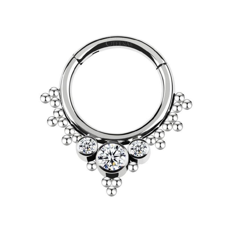 Eternal Metal ASTM F136 Titanium Bezel Set CZ with Beads Clusters Hinged Clicker Nose Rings Piercing Jewelry