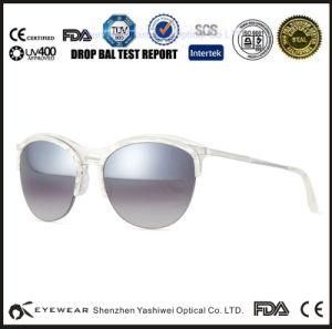 Free Sunglasses Samples, Wooden Sunglasses Case